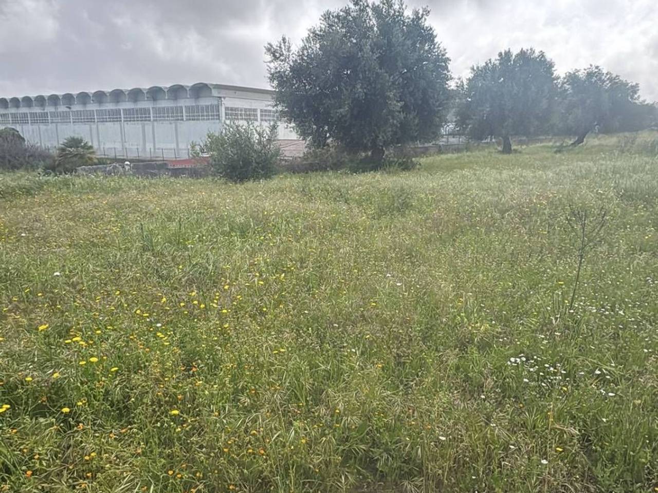 immagine annuncio 4 di 7