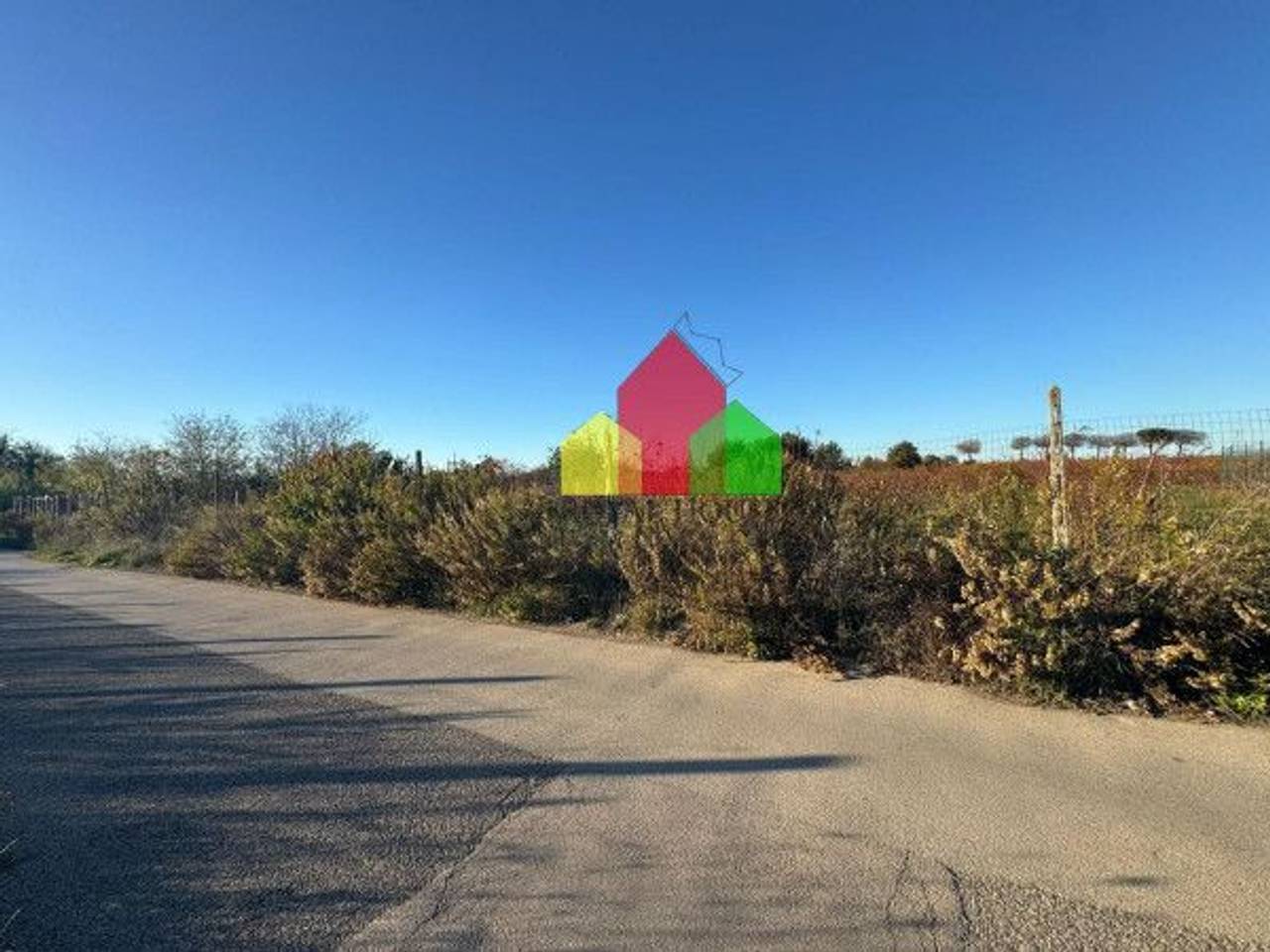 immagine annuncio 3 di 12