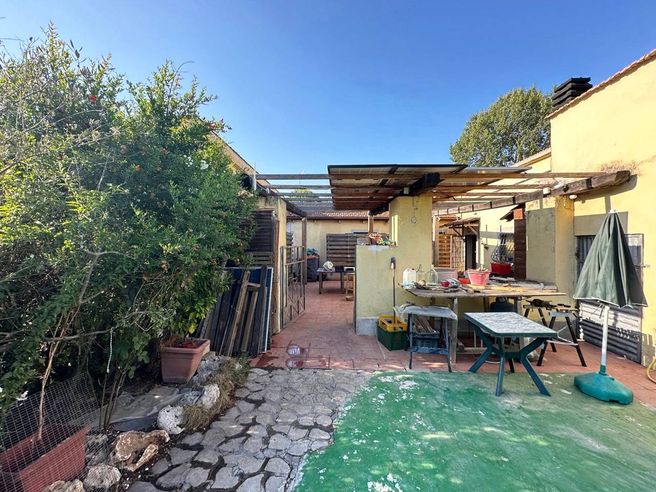 immagine annuncio 11 di 12