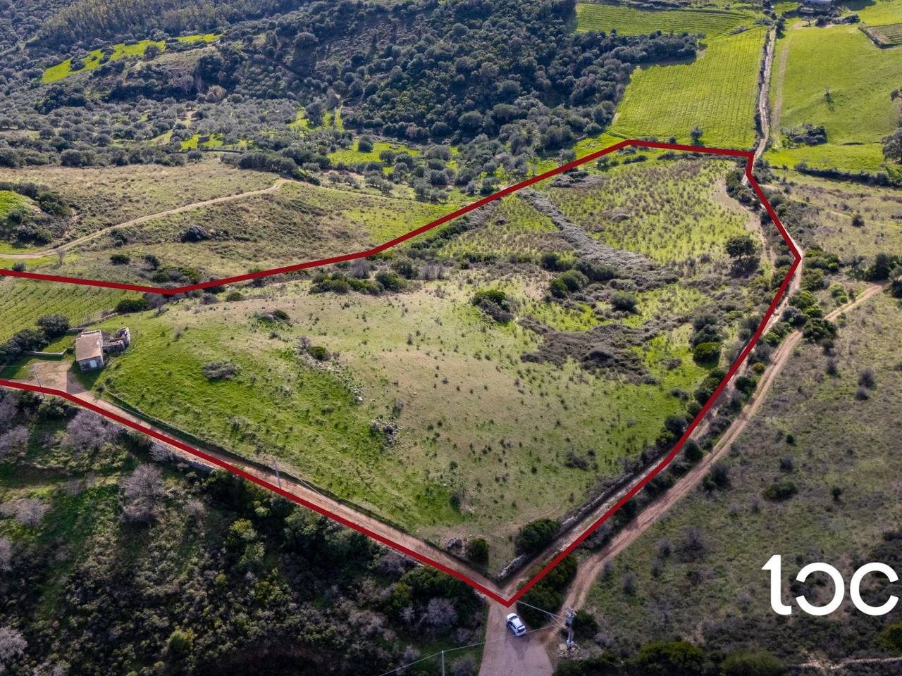 immagine annuncio 9 di 11