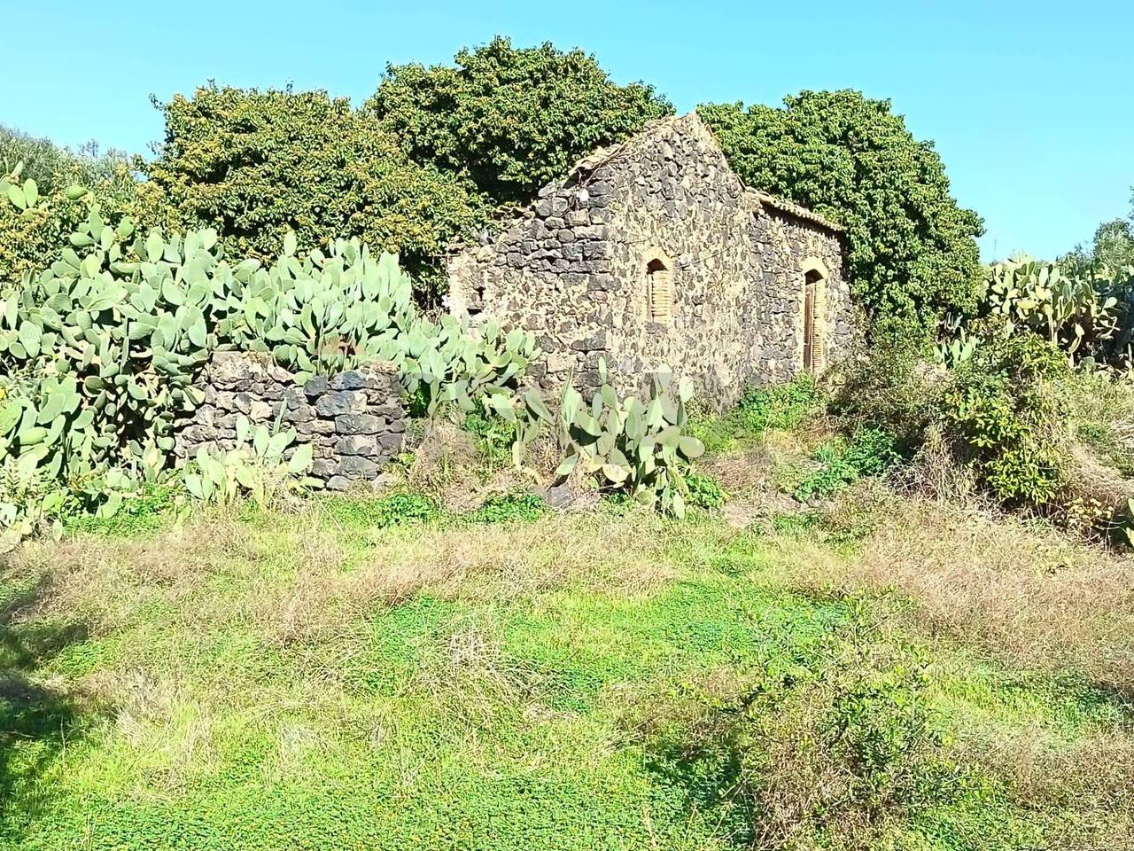 immagine annuncio 2 di 7