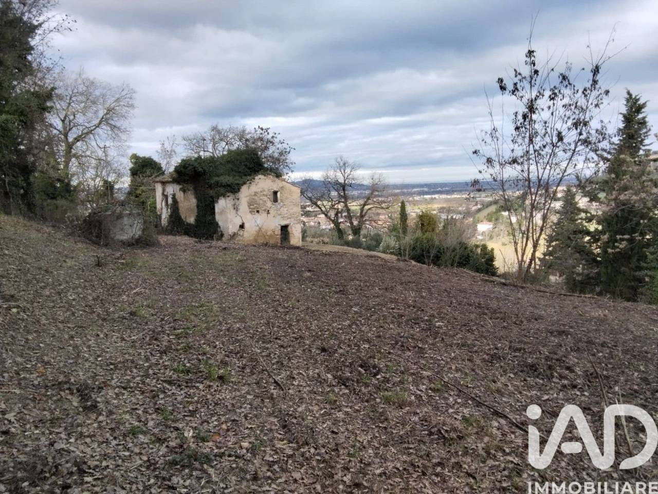 immagine annuncio 7 di 13