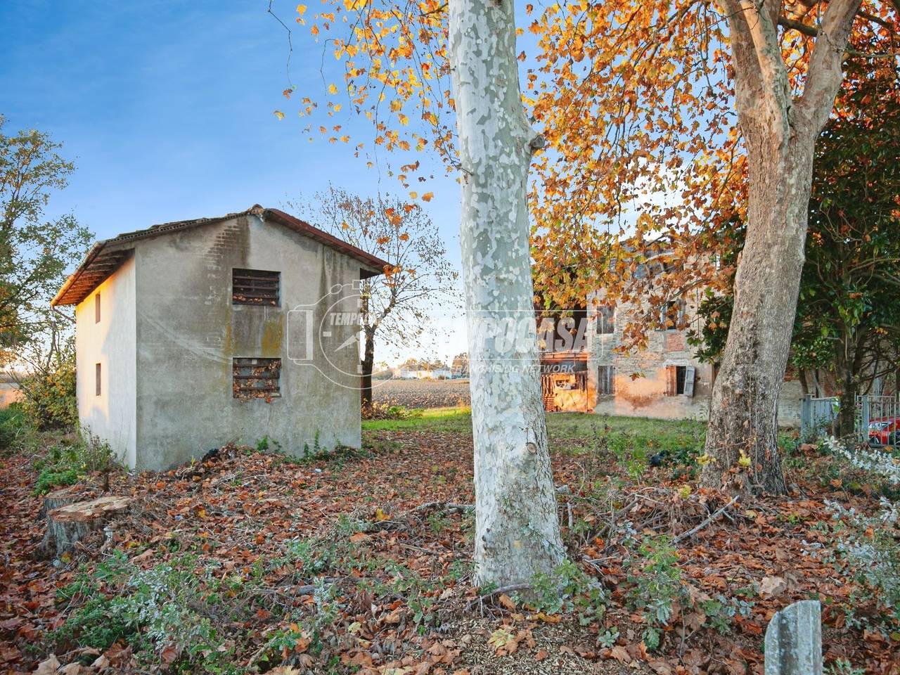 immagine annuncio 3 di 12
