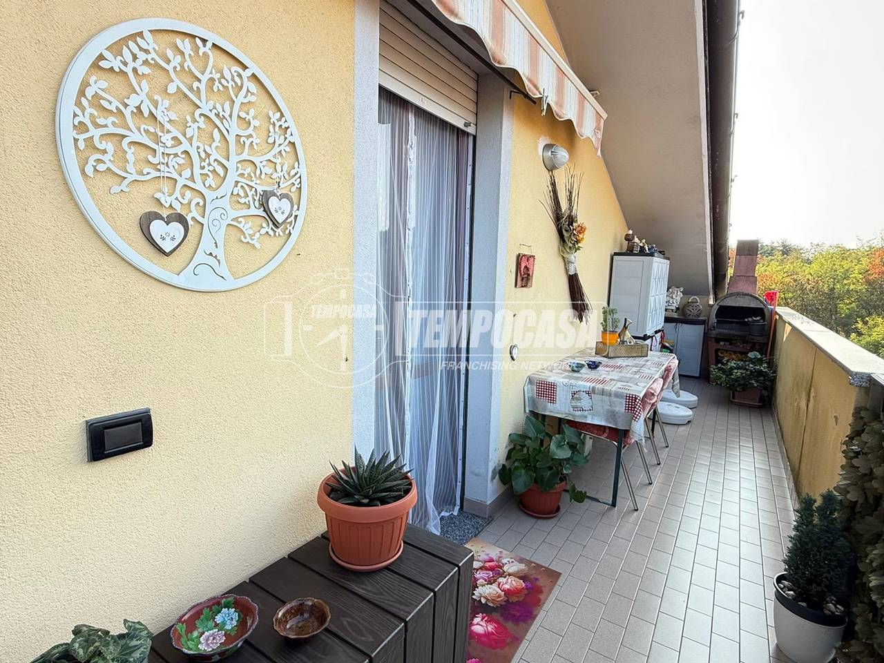 immagine annuncio 7 di 13