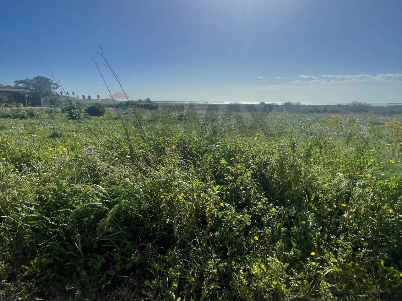 immagine annuncio 6 di 7