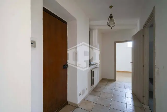 insertion image