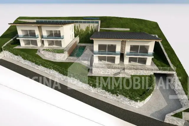 insertion image