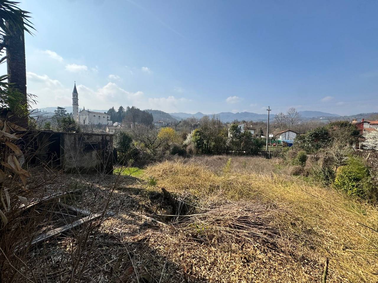 immagine annuncio 6 di 9