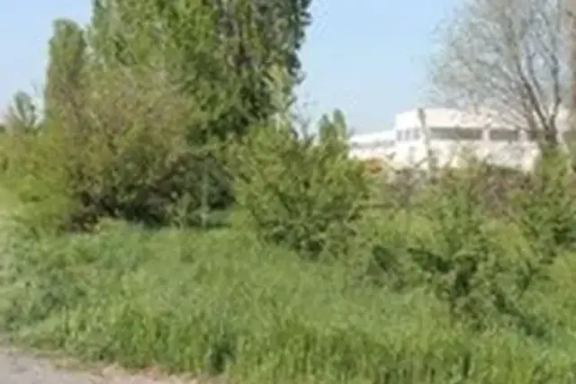 insertion image