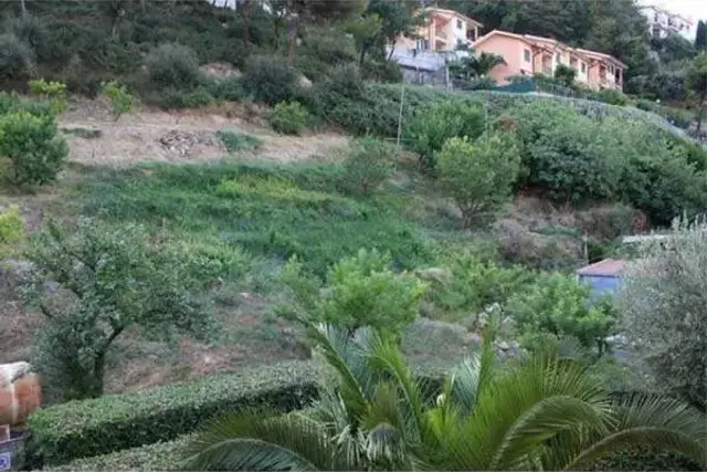 Terreno agricolo in Via del Fabbro 3, Bordighera - Foto 1