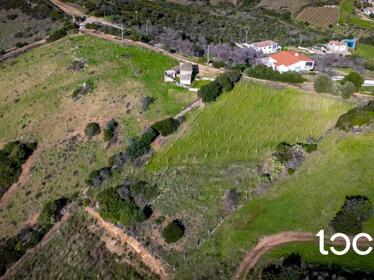 immagine annuncio 4 di 11