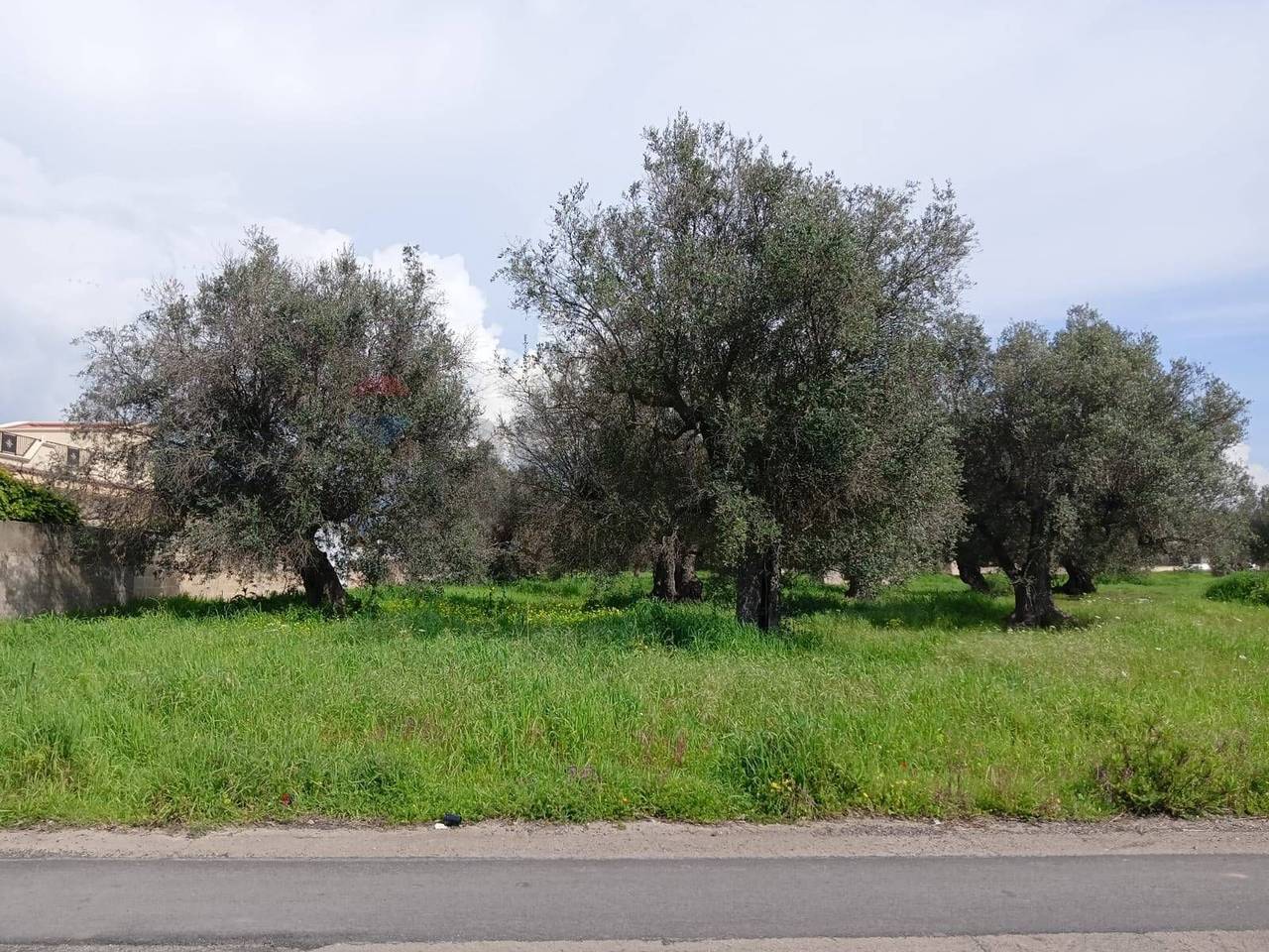 immagine annuncio 1 di 6