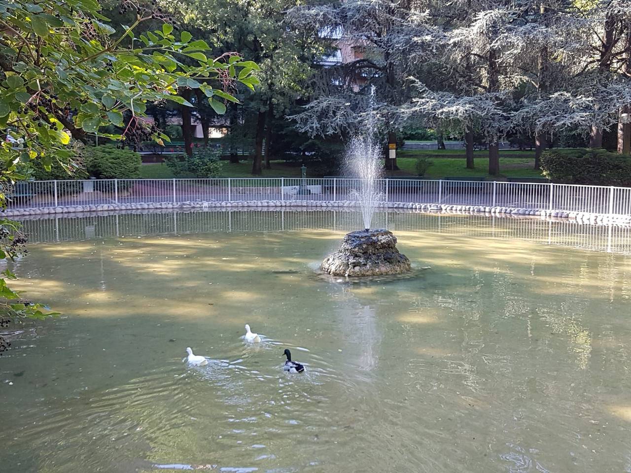 immagine annuncio 12 di 15