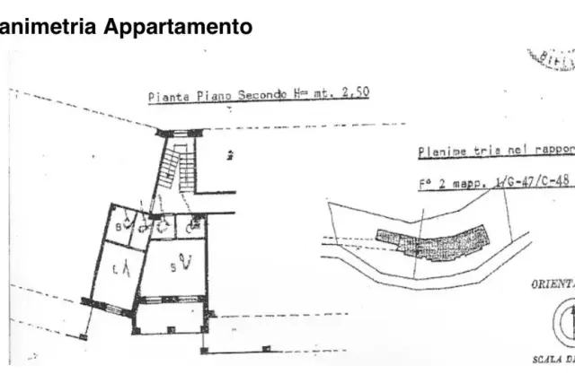 insertion image