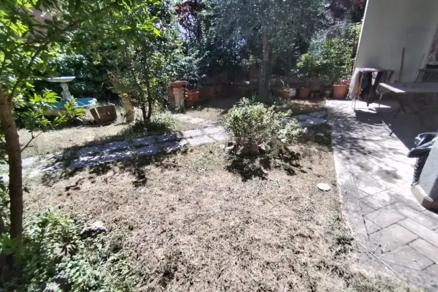 insertion image