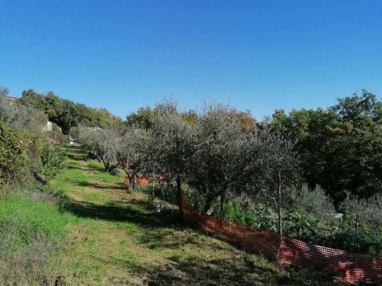 immagine annuncio 2 di 8