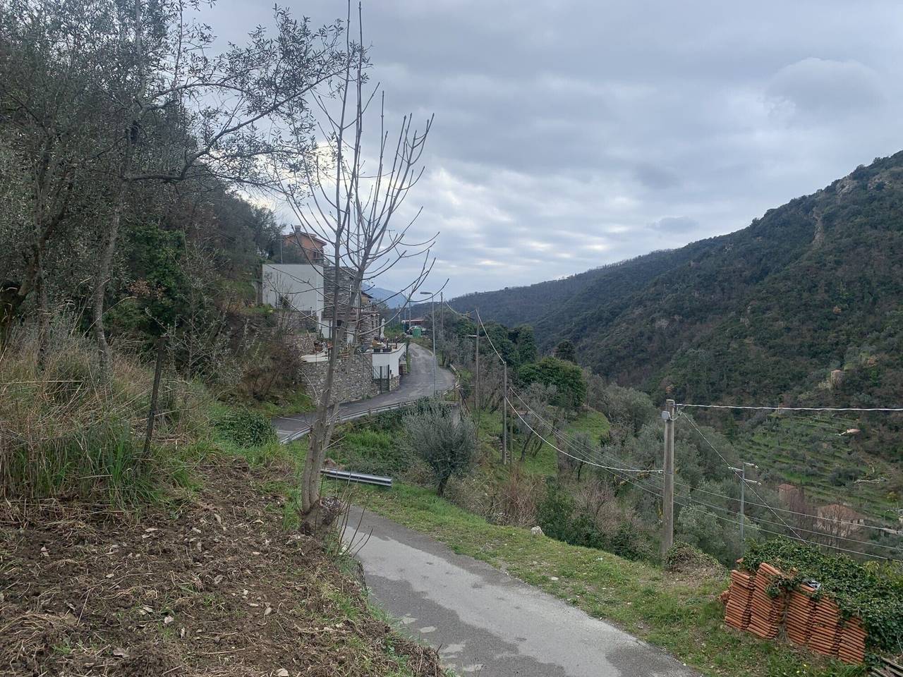 immagine annuncio 2 di 6