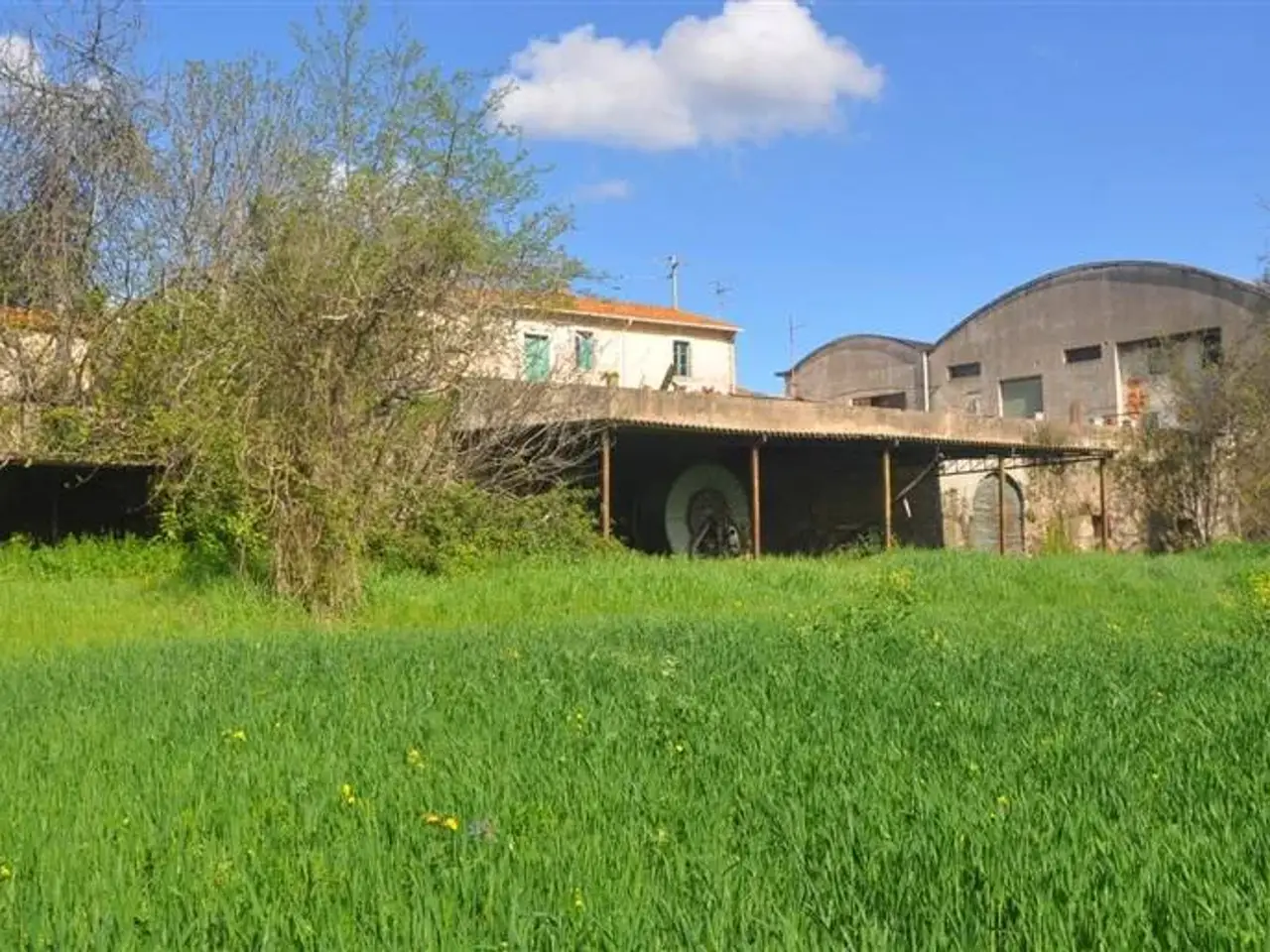 Azienda agricola in , Rosignano Marittimo, {3} - Foto 2