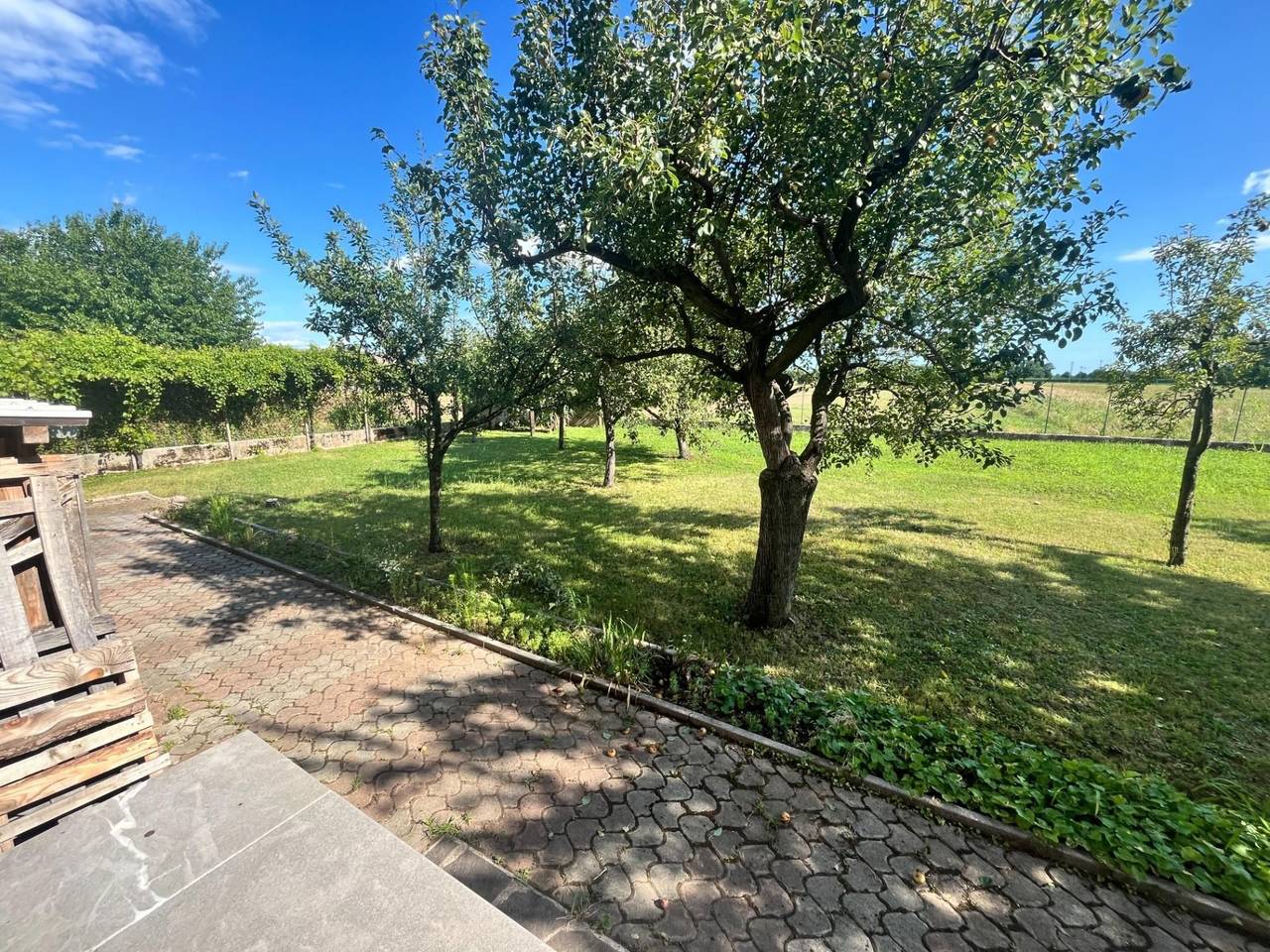 immagine annuncio 5 di 13