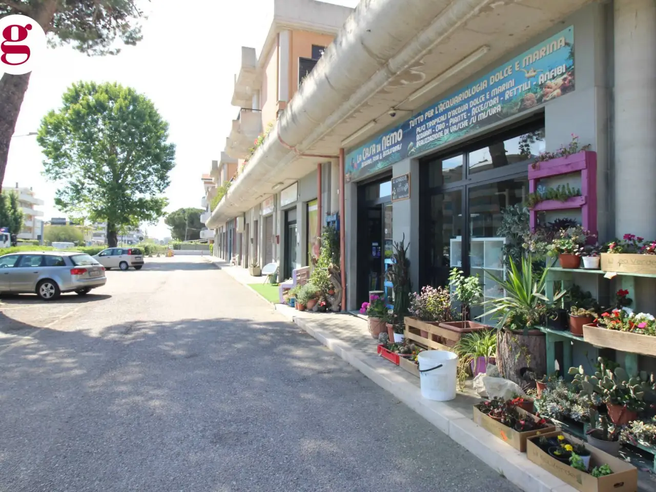 Negozio in Via Fellini 8, Vasto, {3} - Foto 1