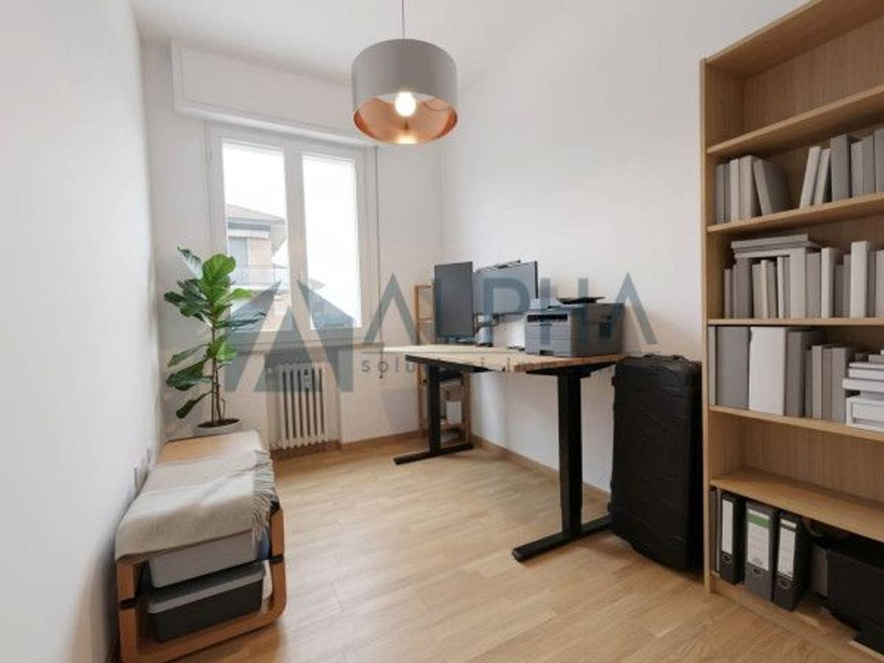 immagine annuncio 2 di 6