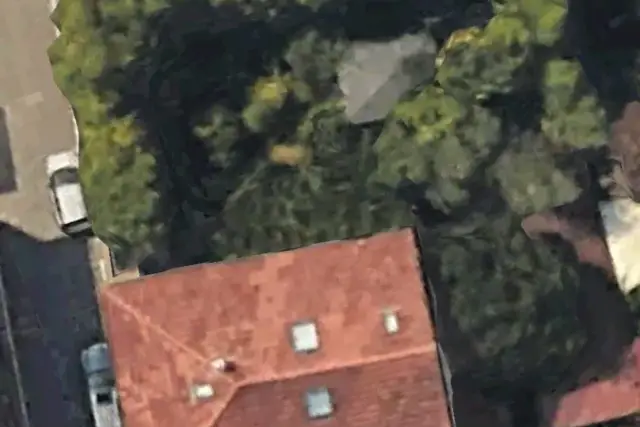 insertion image