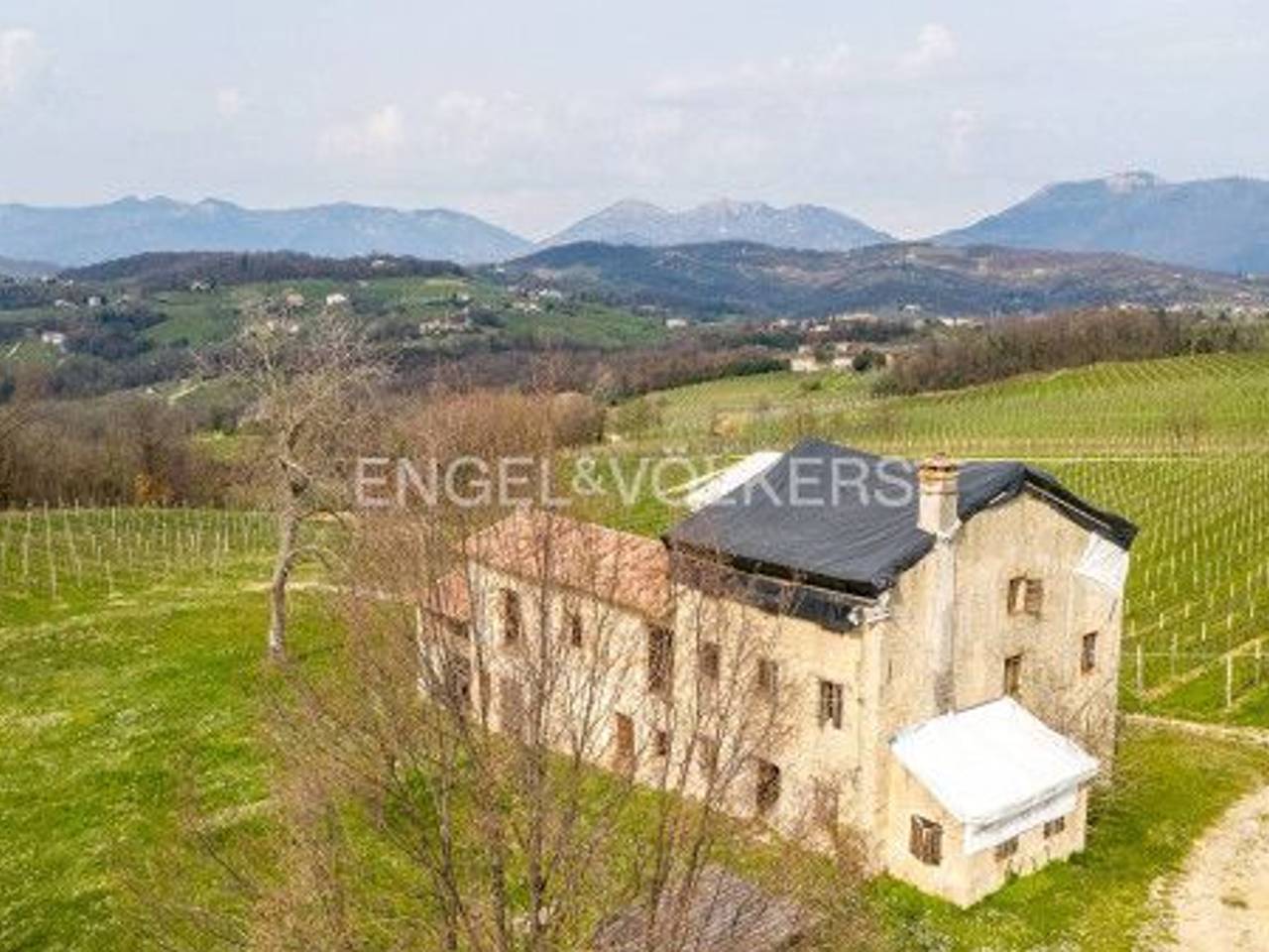 immagine annuncio 6 di 9