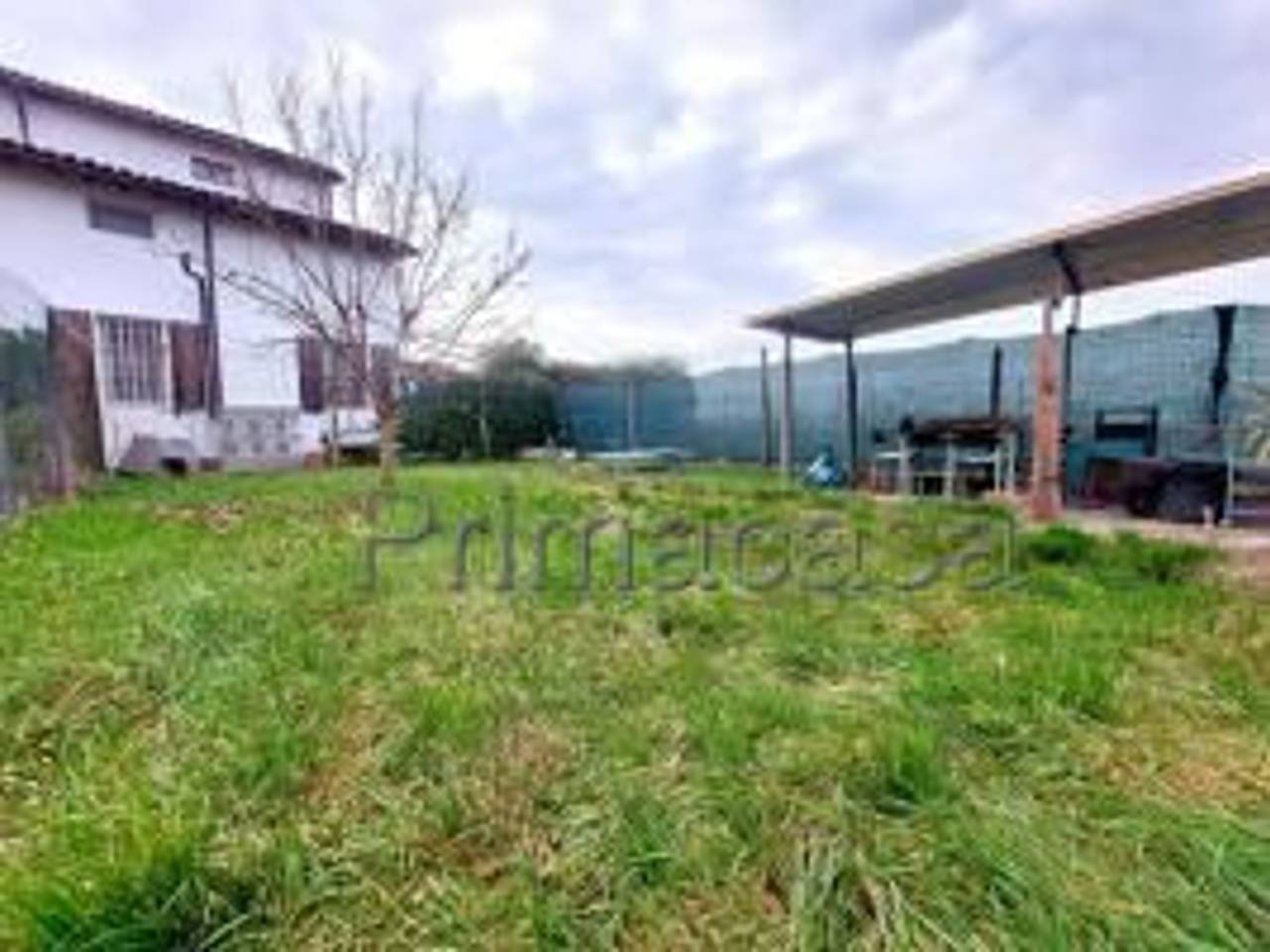 immagine annuncio 12 di 14