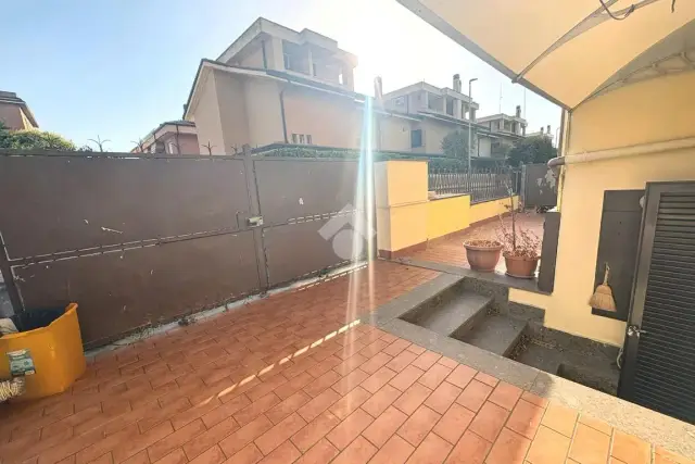 insertion image