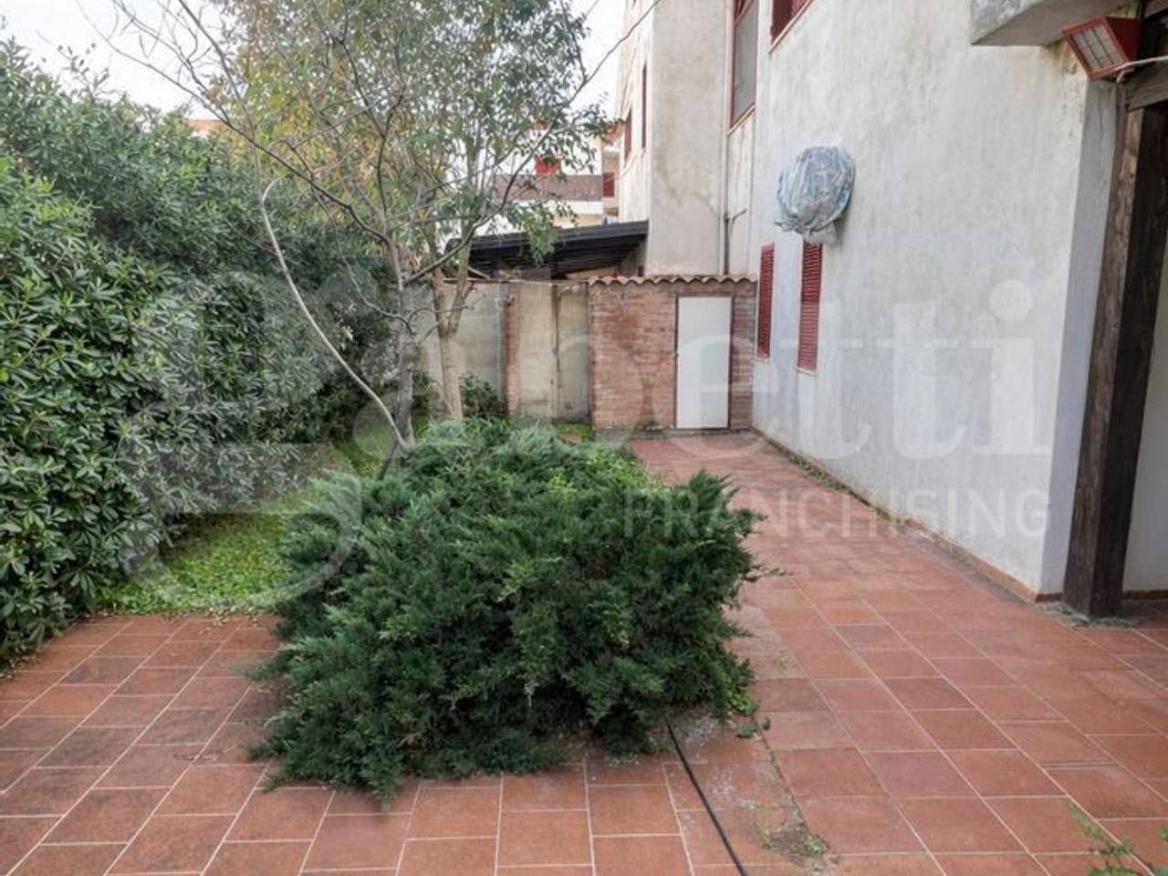 immagine annuncio 4 di 12