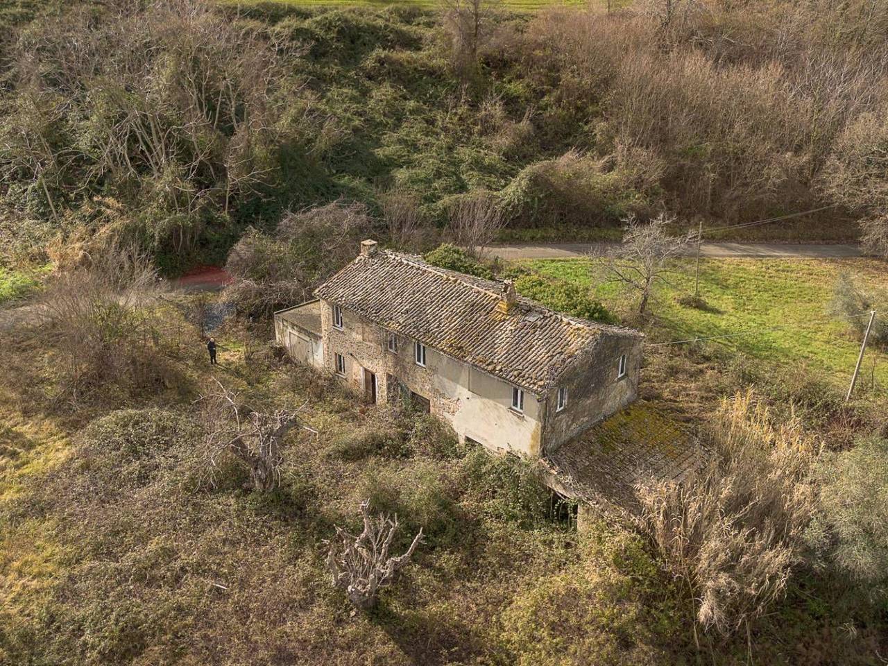 immagine annuncio 8 di 14