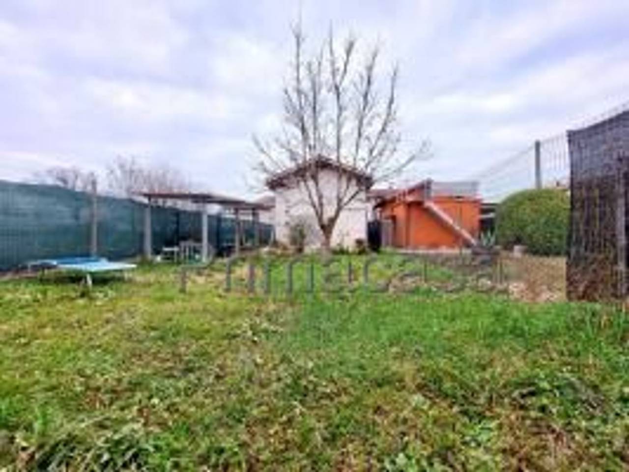 immagine annuncio 1 di 14