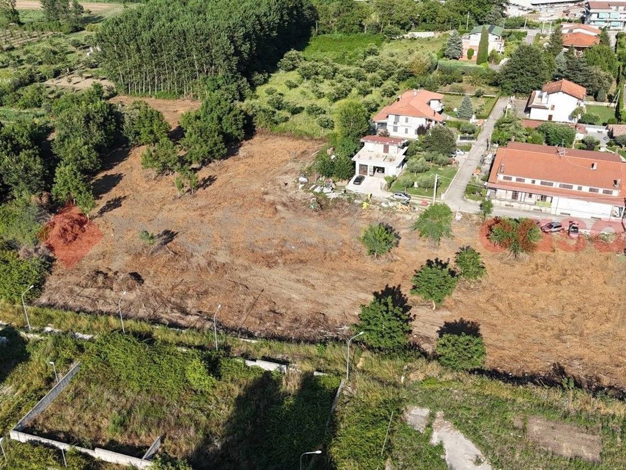 immagine annuncio 3 di 7