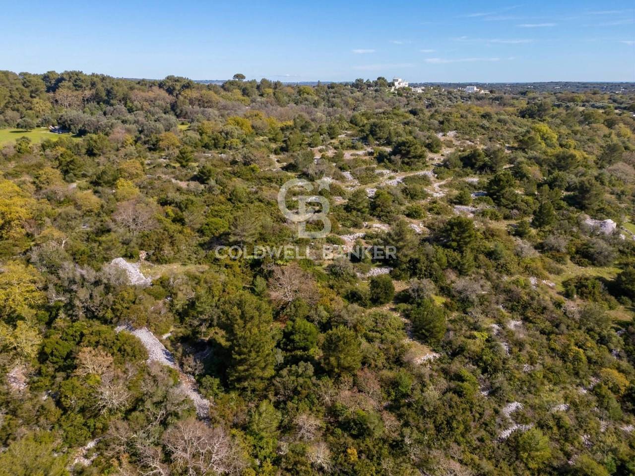 immagine annuncio 4 di 6