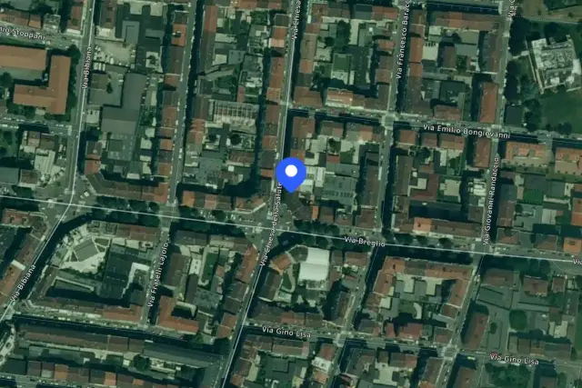 insertion image