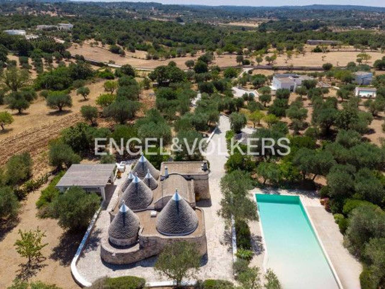 immagine annuncio 12 di 13