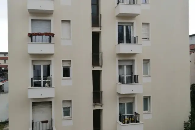 insertion image