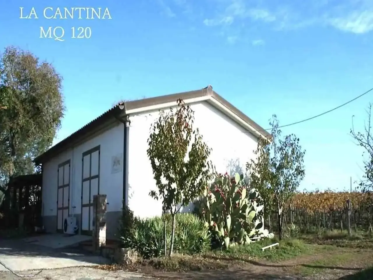 Azienda agricola in Zona Montemassi Zona Ribolla, Roccastrada, Grosseto, Roccastrada, {3} - Foto 1