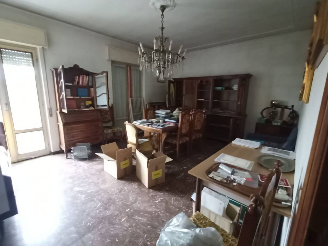 immagine annuncio 1 di 15