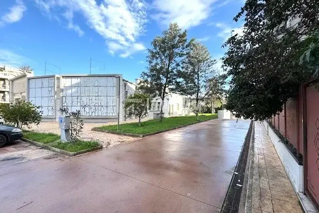 insertion image