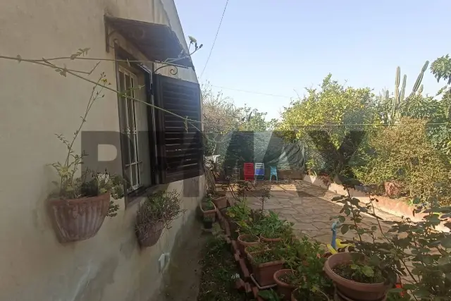insertion image
