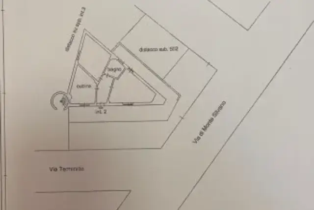 insertion image