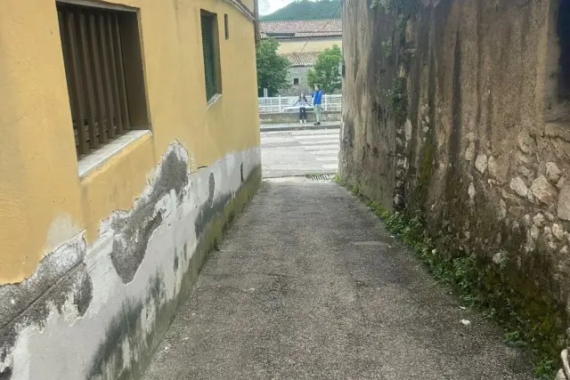insertion image
