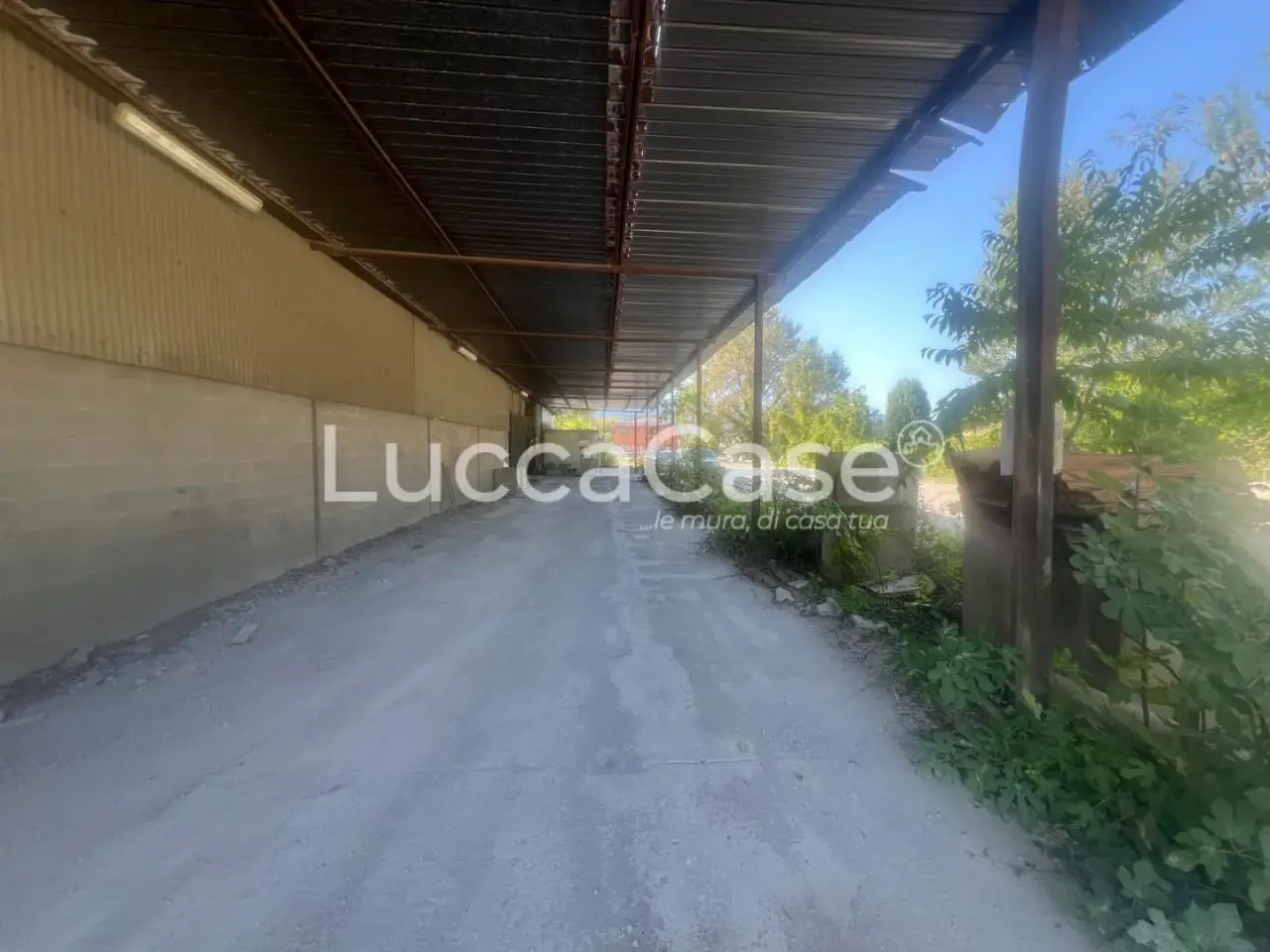 Magazzino in di Tiglio, Capannori, {3} - Foto 2