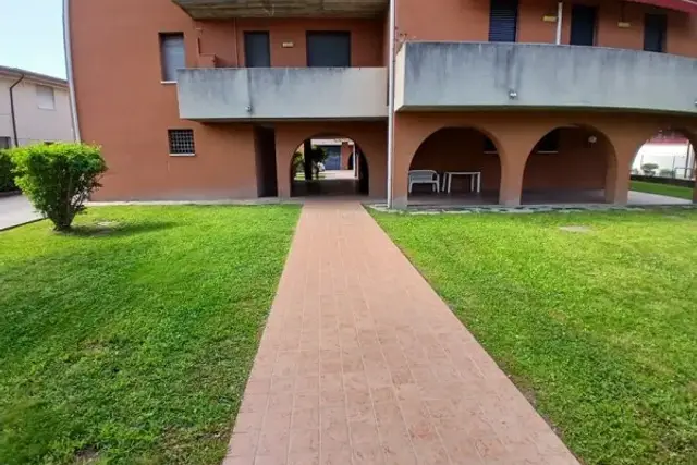 insertion image