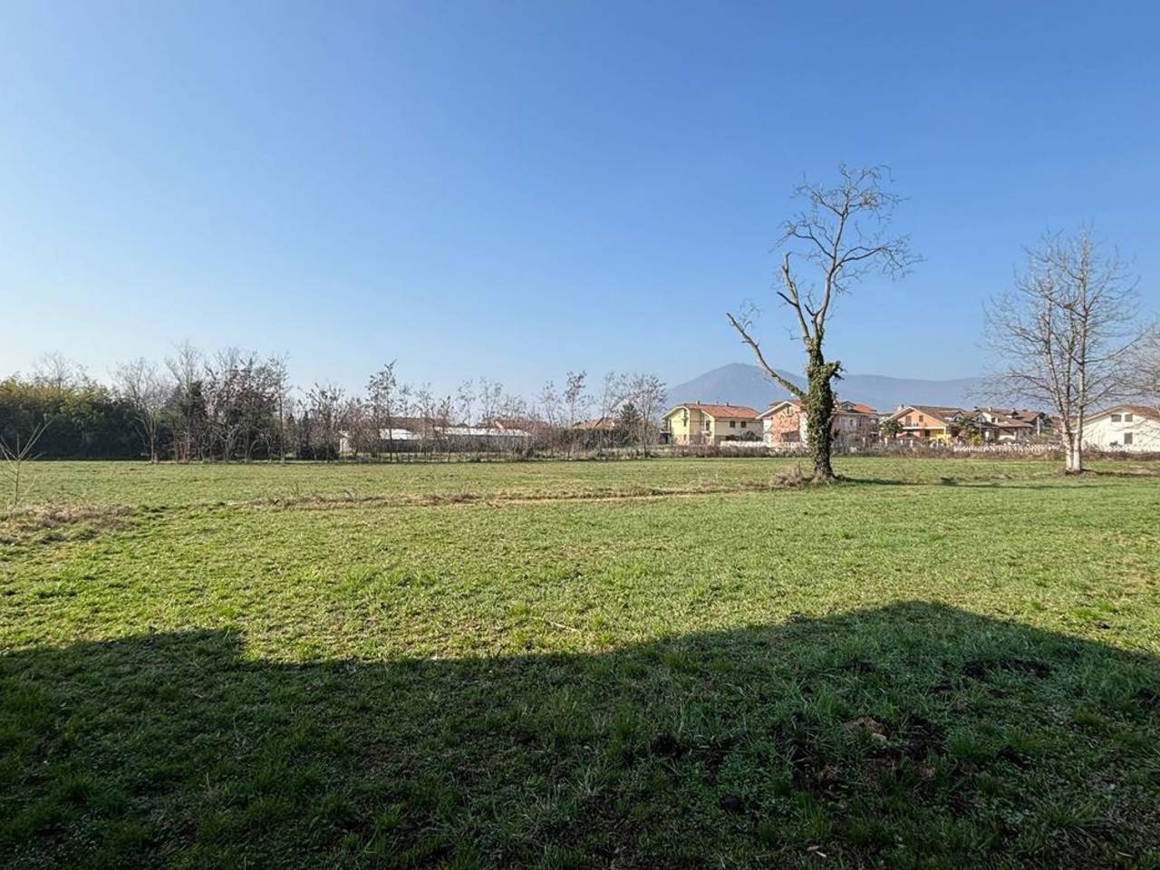 immagine annuncio 7 di 8