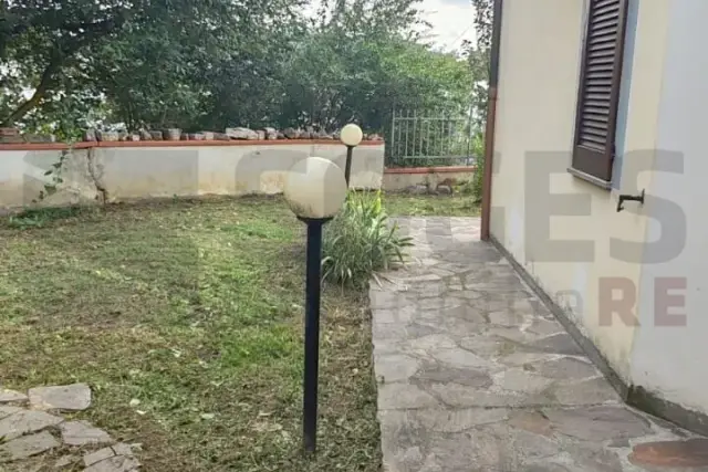 insertion image