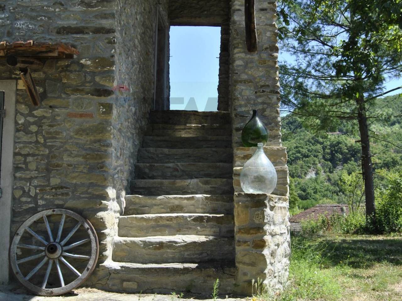 immagine annuncio 1 di 14