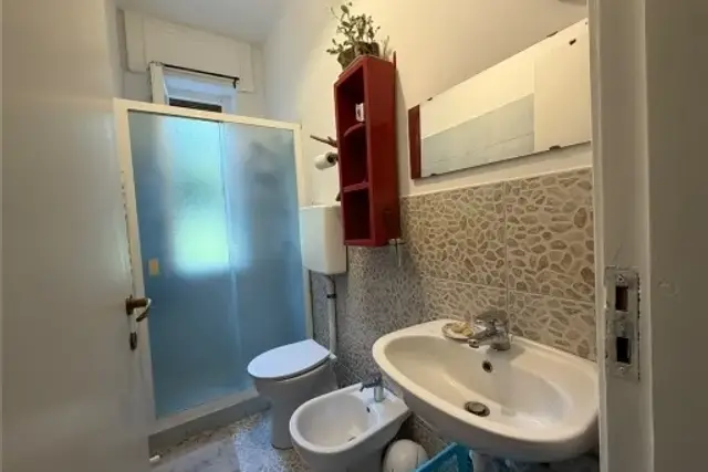 insertion image