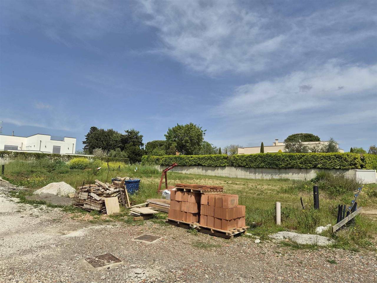 immagine annuncio 5 di 9